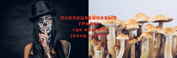 сатива Дмитров