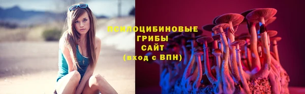 альфа пвп Дмитриев